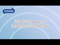 Strikt gestandaardiseerd verzendproces